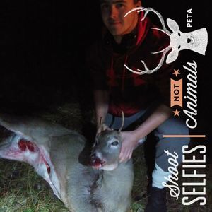 Meet your Posher, Owen